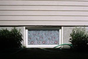 Basement Window