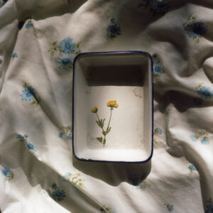 Color Darkroom Tray