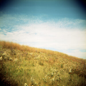 Hillside