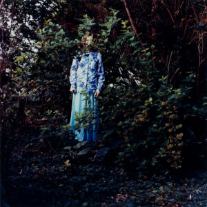In Bushes