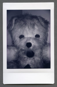 Cedric