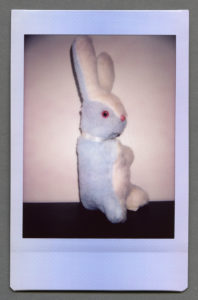 Blue Bunny