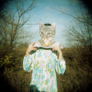 Self Portrait as a Cat