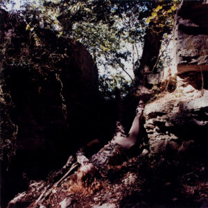 Roots