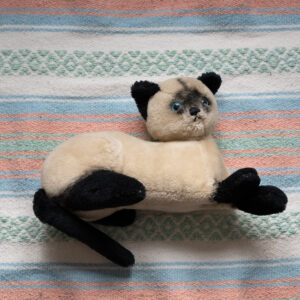 Siamese Cat