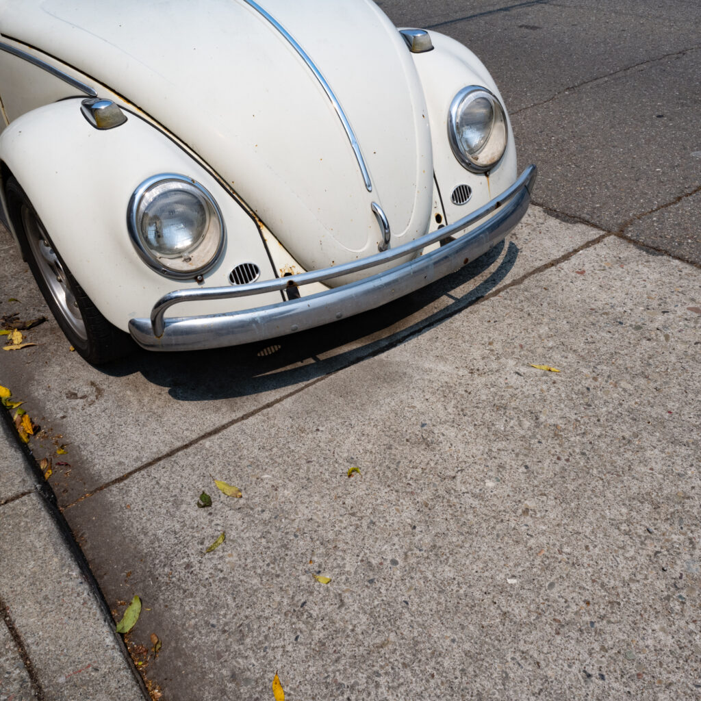 Beetle