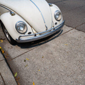 Beetle