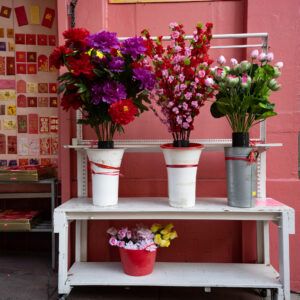 Chinatown Flowers