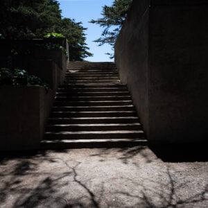 Sutro Heights