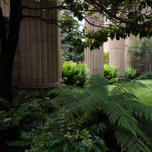 Palace of Fine Arts