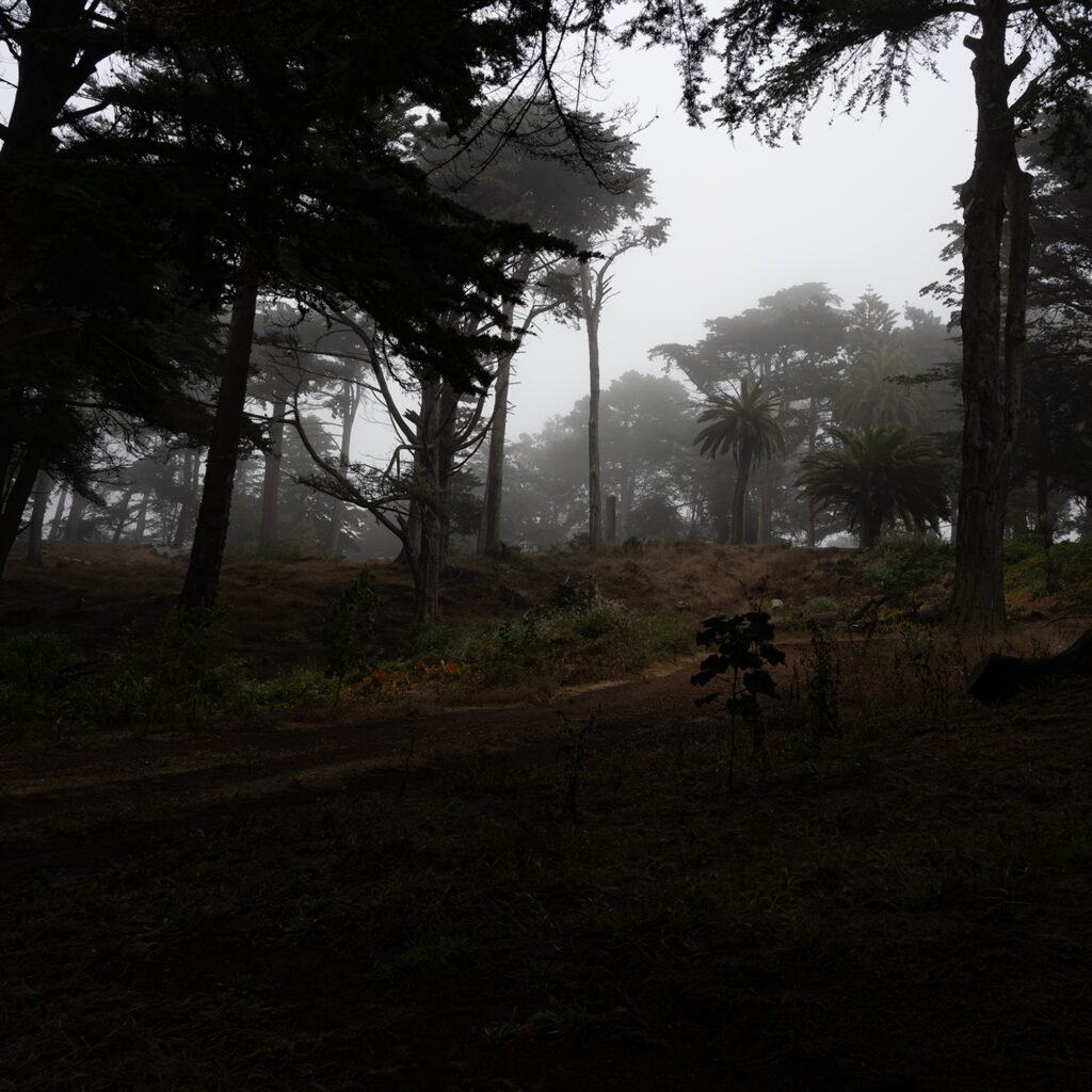 Sutro Heights Park