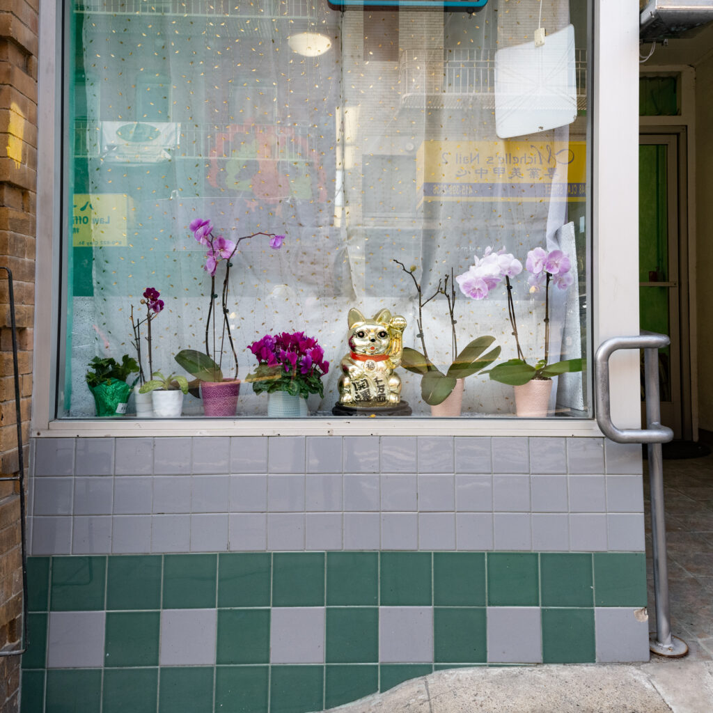 Chinatown Shop